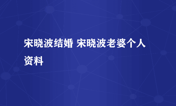 宋晓波结婚 宋晓波老婆个人资料