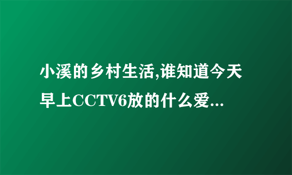 小溪的乡村生活,谁知道今天早上CCTV6放的什么爱情电影？