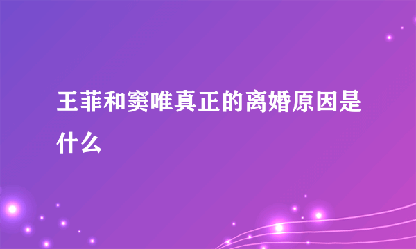 王菲和窦唯真正的离婚原因是什么