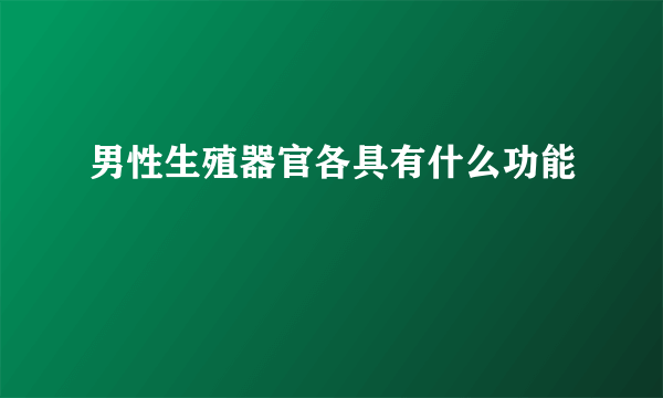 男性生殖器官各具有什么功能