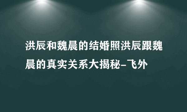 洪辰和魏晨的结婚照洪辰跟魏晨的真实关系大揭秘-飞外