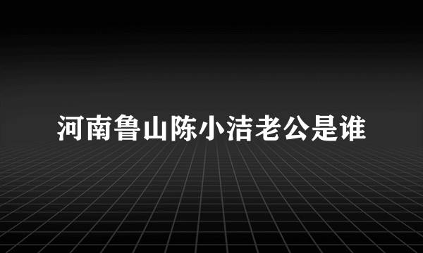 河南鲁山陈小洁老公是谁