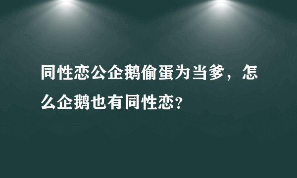 同性恋公企鹅偷蛋为当爹，怎么企鹅也有同性恋？