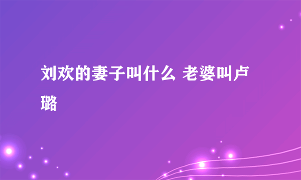 刘欢的妻子叫什么 老婆叫卢璐