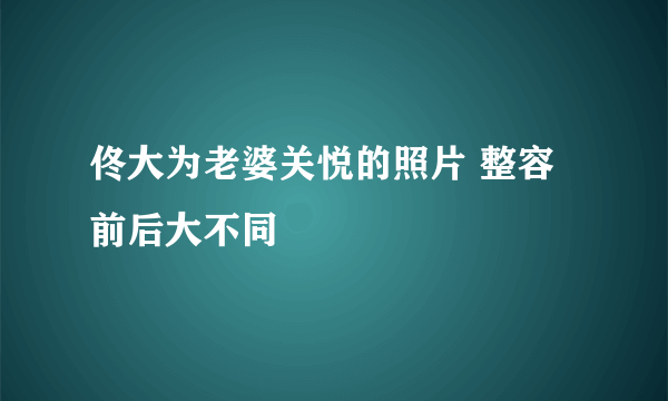 佟大为老婆关悦的照片 整容前后大不同