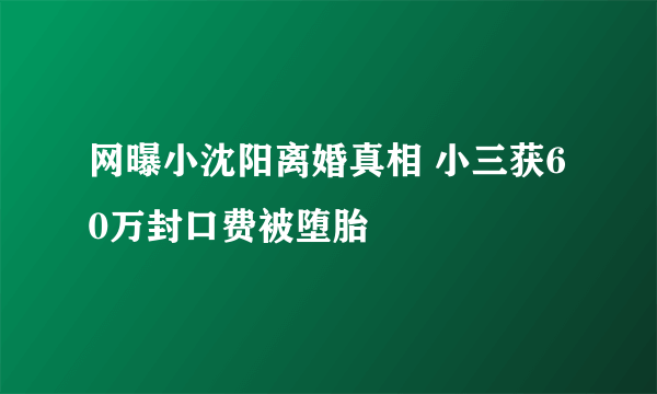 网曝小沈阳离婚真相 小三获60万封口费被堕胎