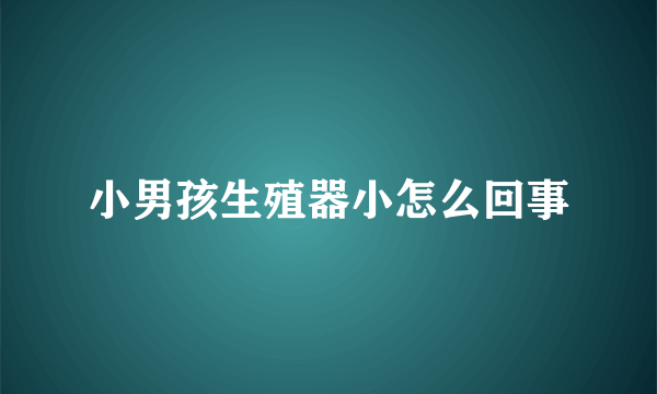 小男孩生殖器小怎么回事