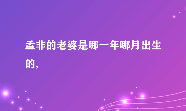 孟非的老婆是哪一年哪月出生的,