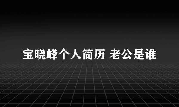 宝晓峰个人简历 老公是谁