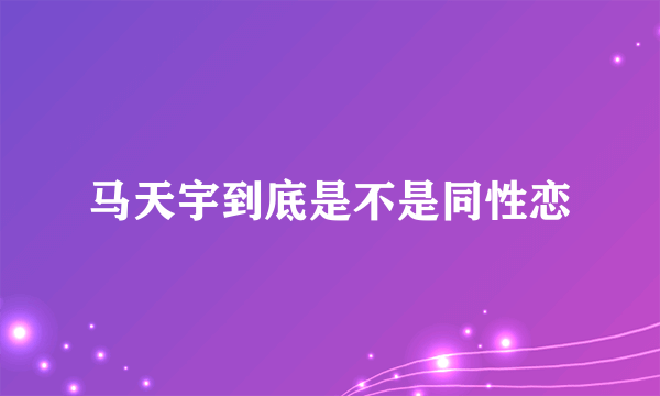 马天宇到底是不是同性恋