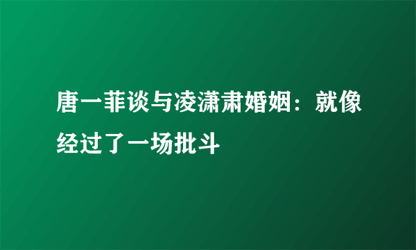 唐一菲谈与凌潇肃婚姻：就像经过了一场批斗