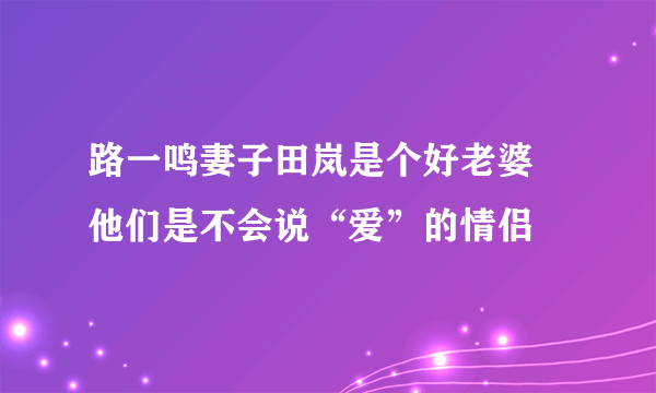 路一鸣妻子田岚是个好老婆 他们是不会说“爱”的情侣