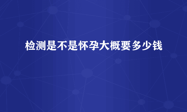 检测是不是怀孕大概要多少钱