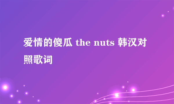 爱情的傻瓜 the nuts 韩汉对照歌词