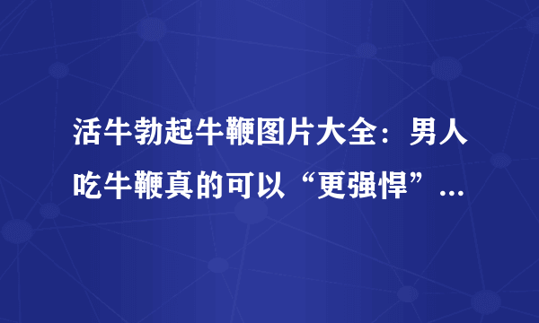 活牛勃起牛鞭图片大全：男人吃牛鞭真的可以“更强悍”？（图）