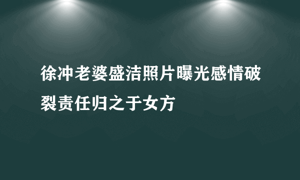 徐冲老婆盛洁照片曝光感情破裂责任归之于女方