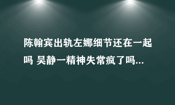 陈翰宾出轨左娜细节还在一起吗 吴静一精神失常疯了吗现在怎样了