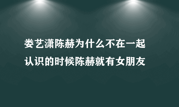 娄艺潇陈赫为什么不在一起 认识的时候陈赫就有女朋友