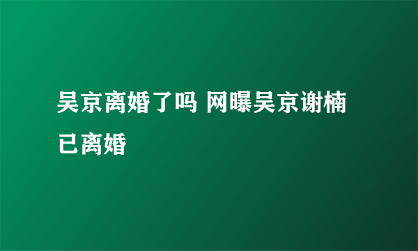 吴京离婚了吗 网曝吴京谢楠已离婚