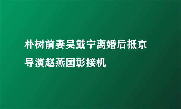 朴树前妻吴戴宁离婚后抵京 导演赵燕国彰接机