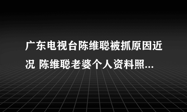 广东电视台陈维聪被抓原因近况 陈维聪老婆个人资料照片是哪里人