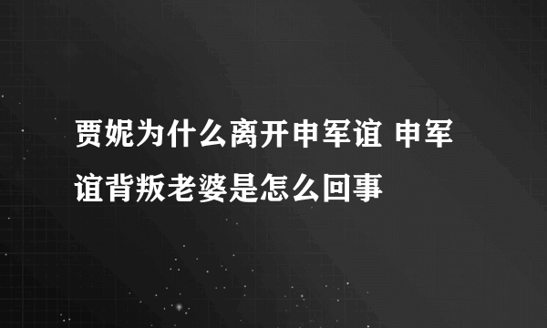 贾妮为什么离开申军谊 申军谊背叛老婆是怎么回事