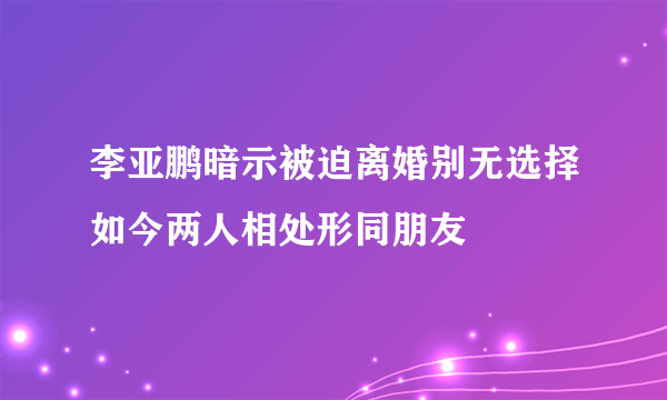 李亚鹏暗示被迫离婚别无选择如今两人相处形同朋友