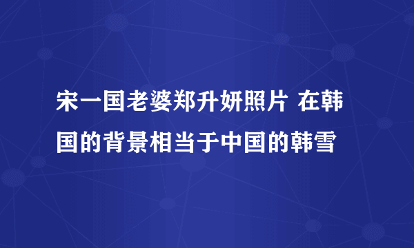 宋一国老婆郑升妍照片 在韩国的背景相当于中国的韩雪