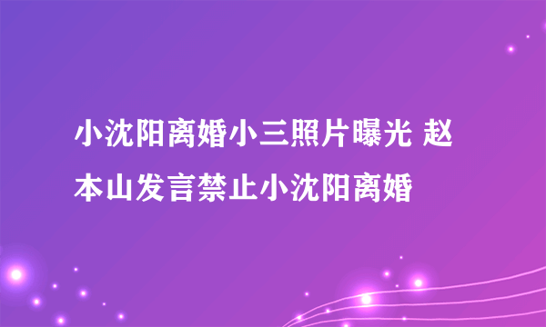 小沈阳离婚小三照片曝光 赵本山发言禁止小沈阳离婚