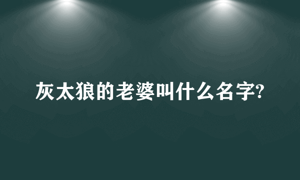 灰太狼的老婆叫什么名字?