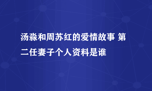 汤淼和周苏红的爱情故事 第二任妻子个人资料是谁