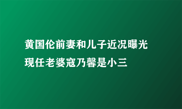 黄国伦前妻和儿子近况曝光 现任老婆寇乃馨是小三