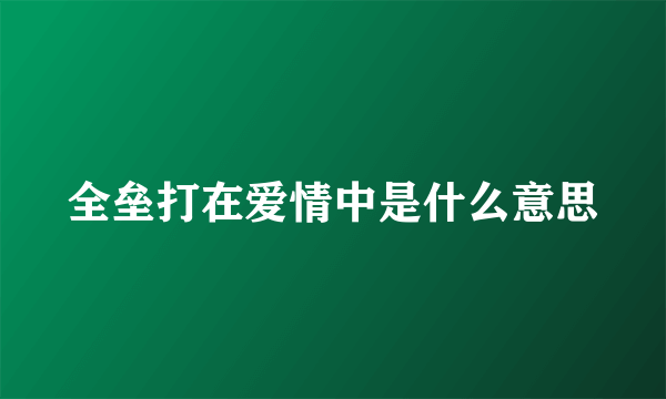 全垒打在爱情中是什么意思