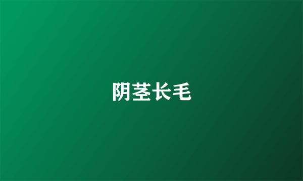 阴茎长毛