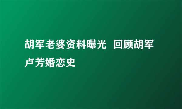 胡军老婆资料曝光  回顾胡军卢芳婚恋史