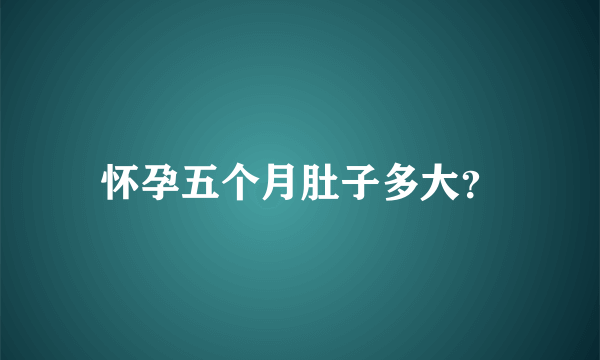 怀孕五个月肚子多大？