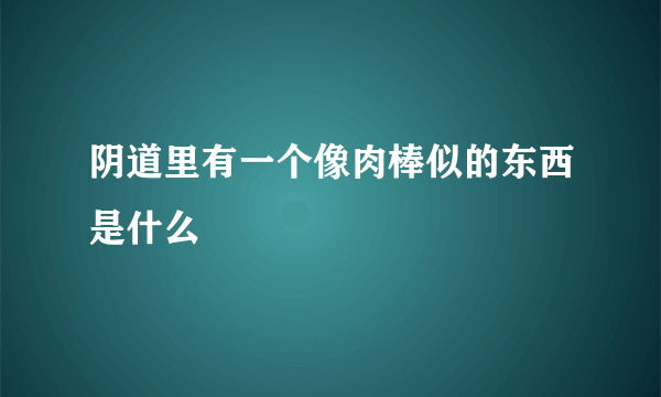 阴道里有一个像肉棒似的东西是什么