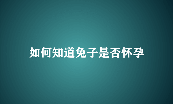 如何知道兔子是否怀孕