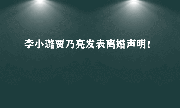 李小璐贾乃亮发表离婚声明！