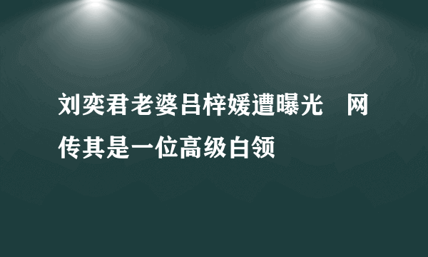 刘奕君老婆吕梓媛遭曝光   网传其是一位高级白领