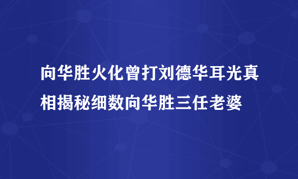 向华胜火化曾打刘德华耳光真相揭秘细数向华胜三任老婆