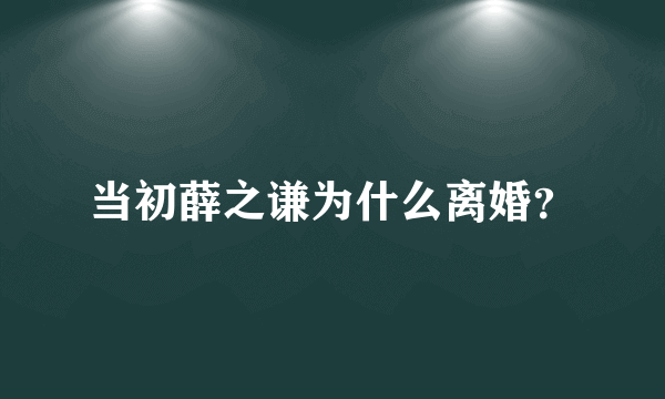 当初薛之谦为什么离婚？