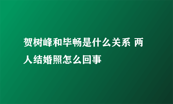 贺树峰和毕畅是什么关系 两人结婚照怎么回事