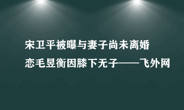 宋卫平被曝与妻子尚未离婚 恋毛昱衡因膝下无子——飞外网