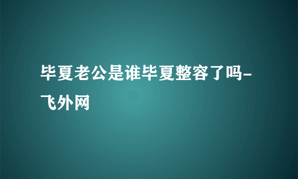 毕夏老公是谁毕夏整容了吗-飞外网