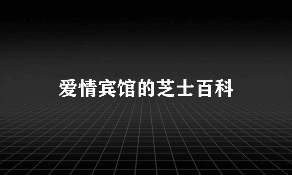 爱情宾馆的芝士百科