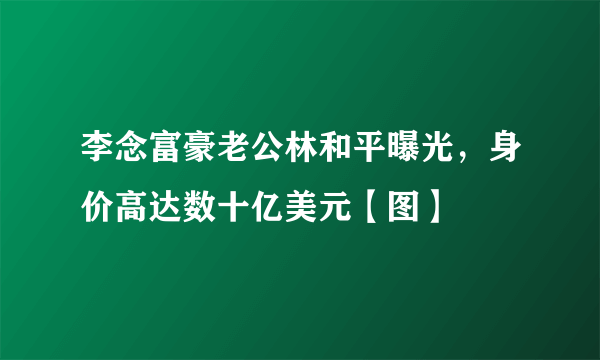 李念富豪老公林和平曝光，身价高达数十亿美元【图】