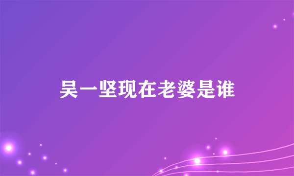 吴一坚现在老婆是谁