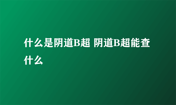 什么是阴道B超 阴道B超能查什么