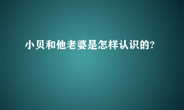 小贝和他老婆是怎样认识的?